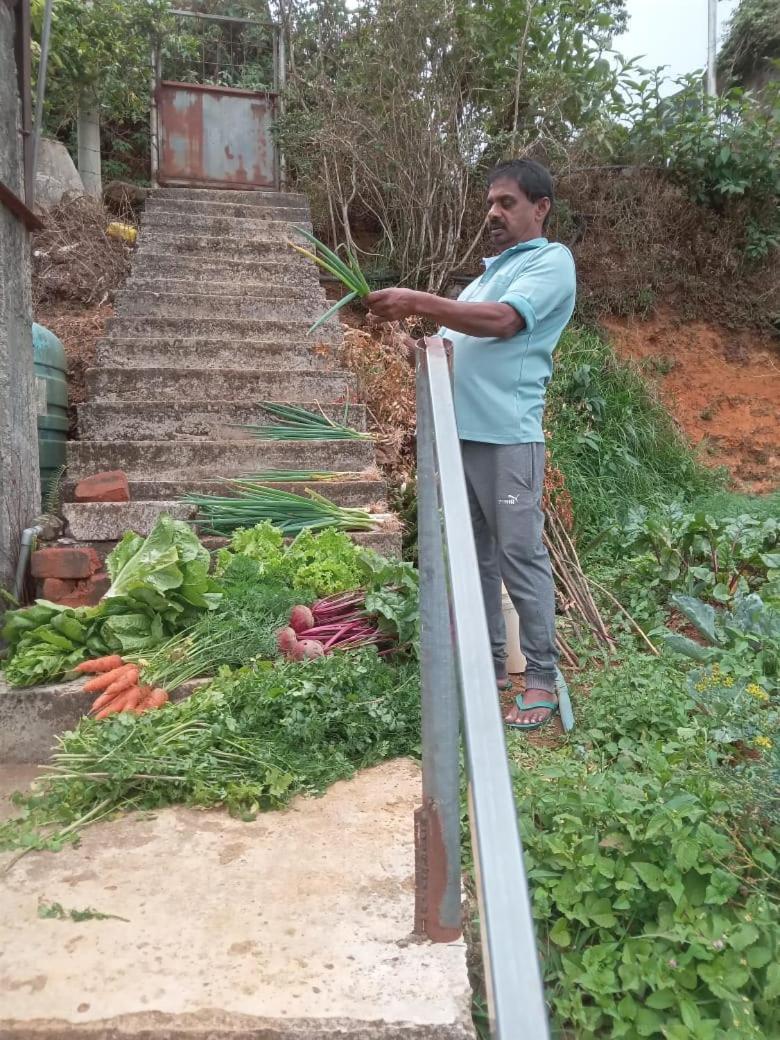 The Farm House Nuwaraeliya Нувара-Елія Екстер'єр фото