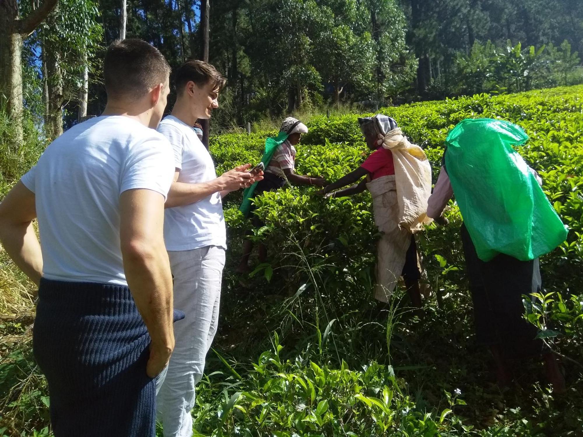 The Farm House Nuwaraeliya Нувара-Елія Екстер'єр фото